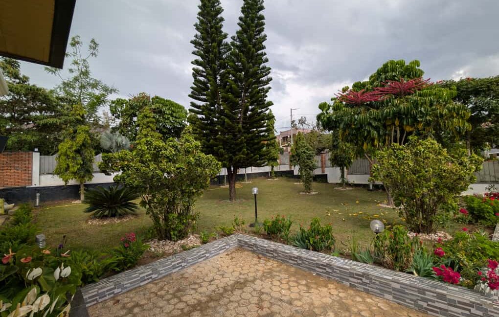 WhatsApp Image 2026-01-21 at 06.37.17