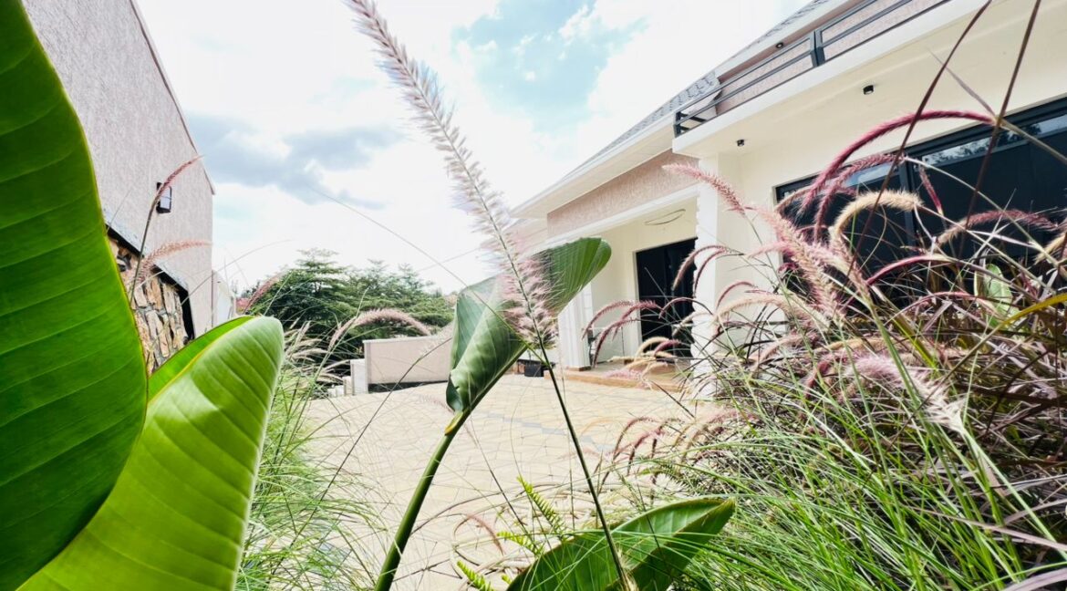 WhatsApp Image 2026-01-27 at 12.25.21 AM (2)