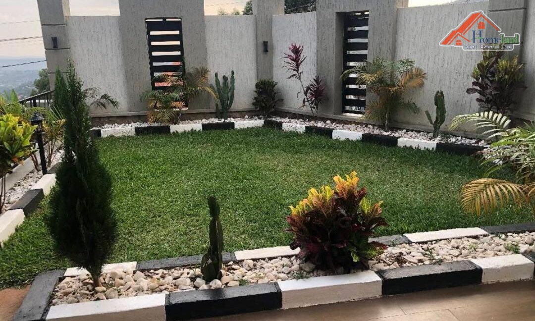 PHOTO-2026-02-02-07-51-41