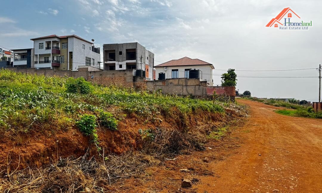 WhatsApp Image 2026-02-09 at 12.23.43 AM (1)