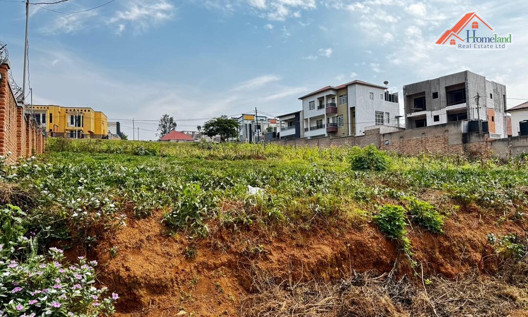 WhatsApp Image 2026-02-09 at 12.23.43 AM (2)