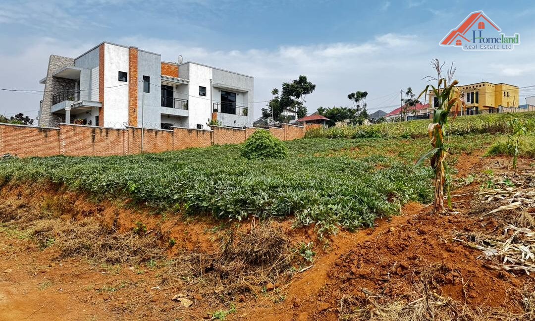 WhatsApp Image 2026-02-09 at 12.23.44 AM (1)