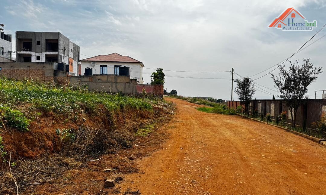 WhatsApp Image 2026-02-09 at 12.23.44 AM